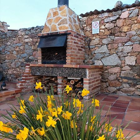 Вилла La Casa Del Buho Santa Maria la Real de Nieva Экстерьер фото